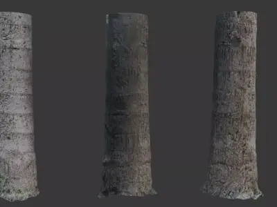 Realistic 3D Scanned Palm Tree Trunks Low-poly 3D model