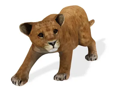 LION CUB CUP Lioness FELINE CAT Low-poly 3D model