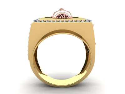 The Ashoka Ring 3D print model