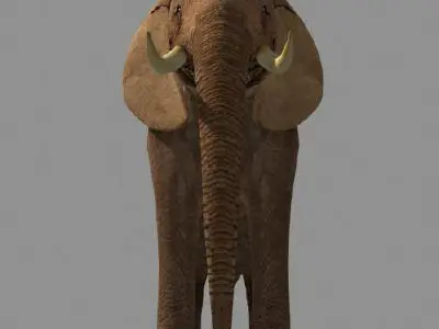SUPERB LOW-POLY ELEPHANT - 3d model Low-poly 3D model