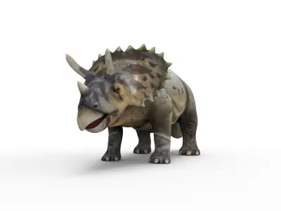 3D Realistic Triceratops Rigged and Animated  Low-poly 3D model