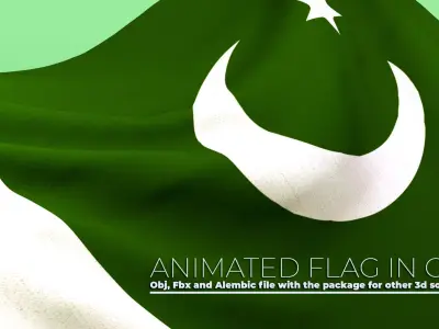 Animated Flag- Wired Transitional Flag  3D model