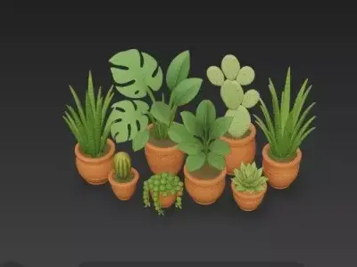 stylized Succulent - Tropical Plant Mega Pack- 8 Unique Assets 3D model