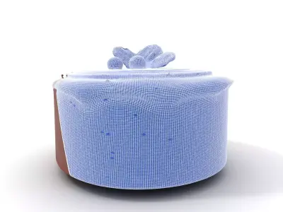 Delicious Chocolate Cake model pack Low-poly 3D model