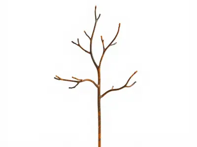 Bare Tree Model Pack with Realistic Texture Low-poly 3D model