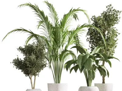 indoorplantstand26 palm tree in pot 3D model