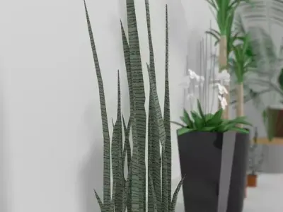 Indoor Decorative Plants Collection 3D model