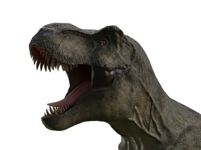 Tyrannosaurus Rex model 3D model