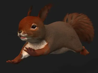 Squirrel-V1E 3D model