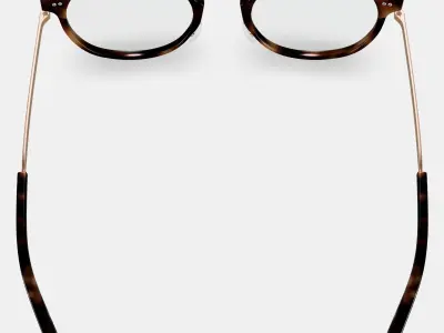 Jayla Eyeglasses in Cognac Tortoise with Polished Gold Low-poly 3D model