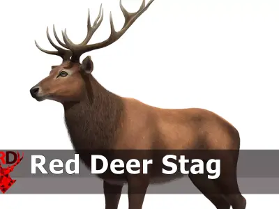 Red Deer stag Low-poly 3D model