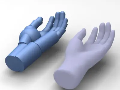 Reverse Engineered Hand model using simple features Free 3D model