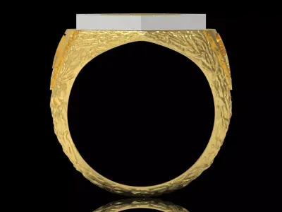 STL 3dm Ring a Symbol of Power History in Two-Tone Gold mr0279 3D print model