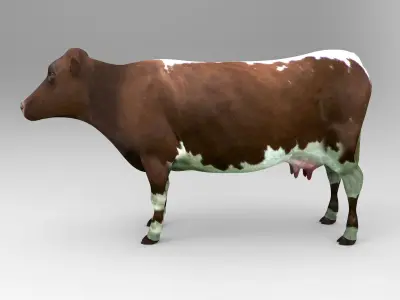 3D Cow Rigged game ready low poly model Low-poly 3D model