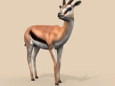 PRO Gazelle Low-poly 3D model