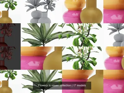 Flowers in vases collection