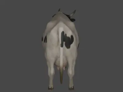 Dairy Cow 3D model