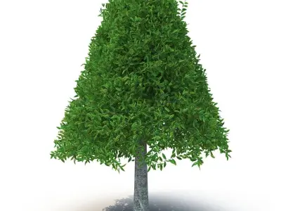 Cylindrical tree 3D model