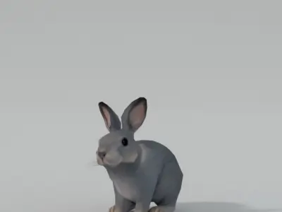 Grey Rabbit Low-poly 3D model
