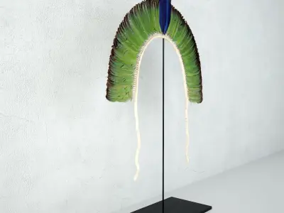 Brazilian Tribal Feather Headdress 3D model