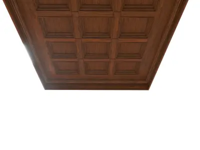 Classic wooden ceiling with caissons 01 3D model