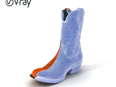 Western Cowboy Boot D Model Pack Low-poly 3D model