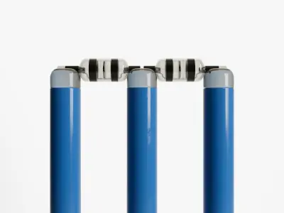 Modern Cricket Wickets 3D model