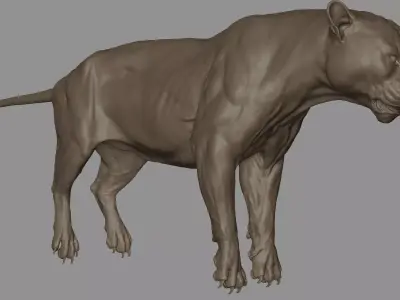 Tiger  VFX Cinematic quality 3D model 3D model