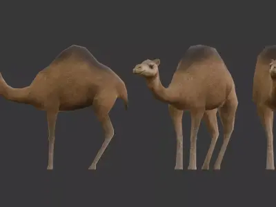 Camel Low-Poly Low-poly 3D model