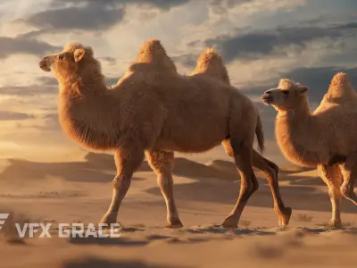Bactrian Camel Rigged VFX Grace 3D model