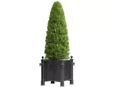 Decorative tree in garden planter RH ArtDeco Front Patio  3D model