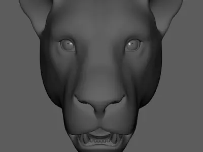 Lion-Lioness panther 3D model
