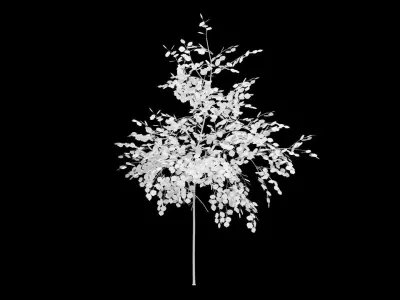 Birch Tree With White Leaves Low-poly 3D model