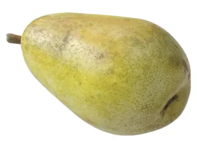 Kieffer Pear 3D model