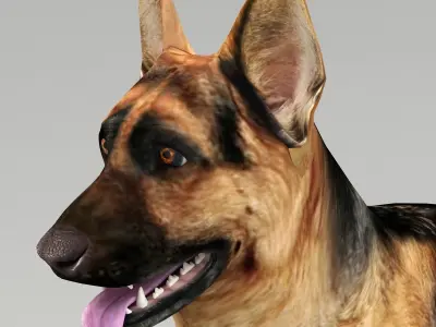 GSD DOG  Low-poly 3D model
