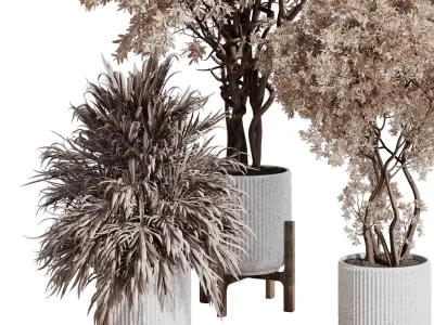 Indoor plant set 423 tree autumn with dried plant 3D model