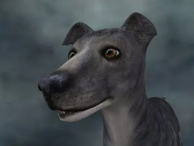MDGH-003 Rigged Dog 3D model