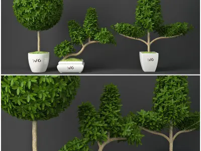 Plants collection 03