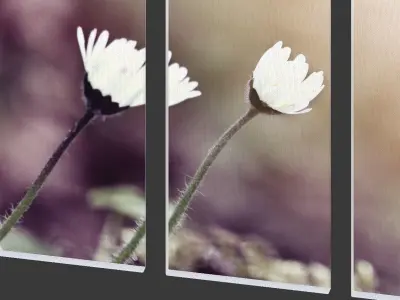 Printed Canvas - Little White Flower Low-poly 3D model