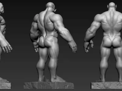 Orc Anatomy 3D print model