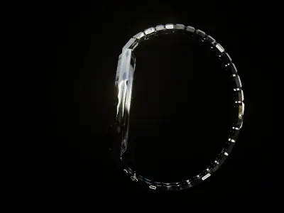 AP Skeleton Watch 3D model