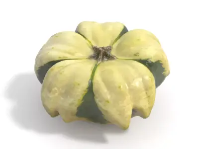 Decorative Gourd Pumpkin Squash Flower 3D Scan 3D model