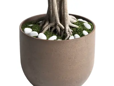 Outdoor plant 84 pot tree bonsai concrete dirt vase  3D model