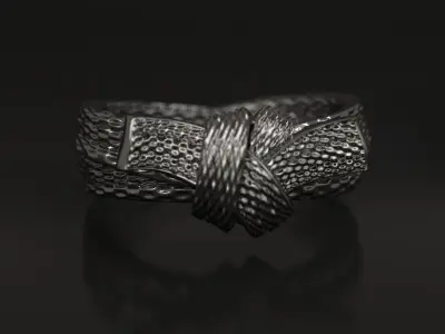 Karate Belt Ring  9s 3D print model