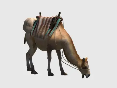 camel luggage animation  3D model