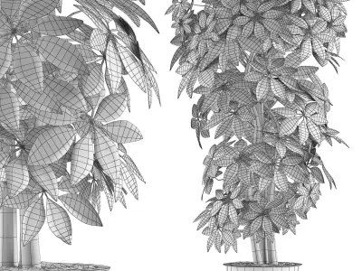 Plants Collection 64 3D model