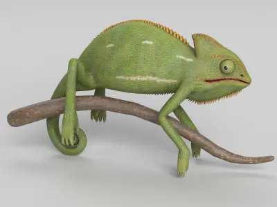 Chameleon 3D model
