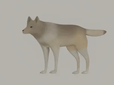 Wolf model 3D model