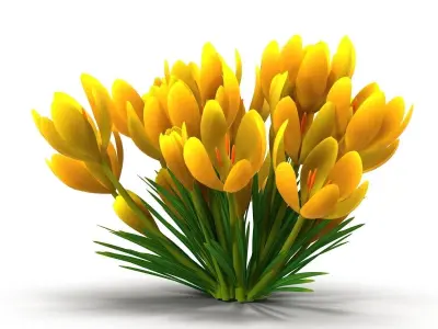 Crocus yellow 3D model