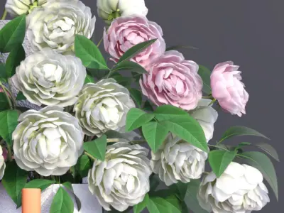 Realistic Collection of Peonies Bouquet in Vases 3D model